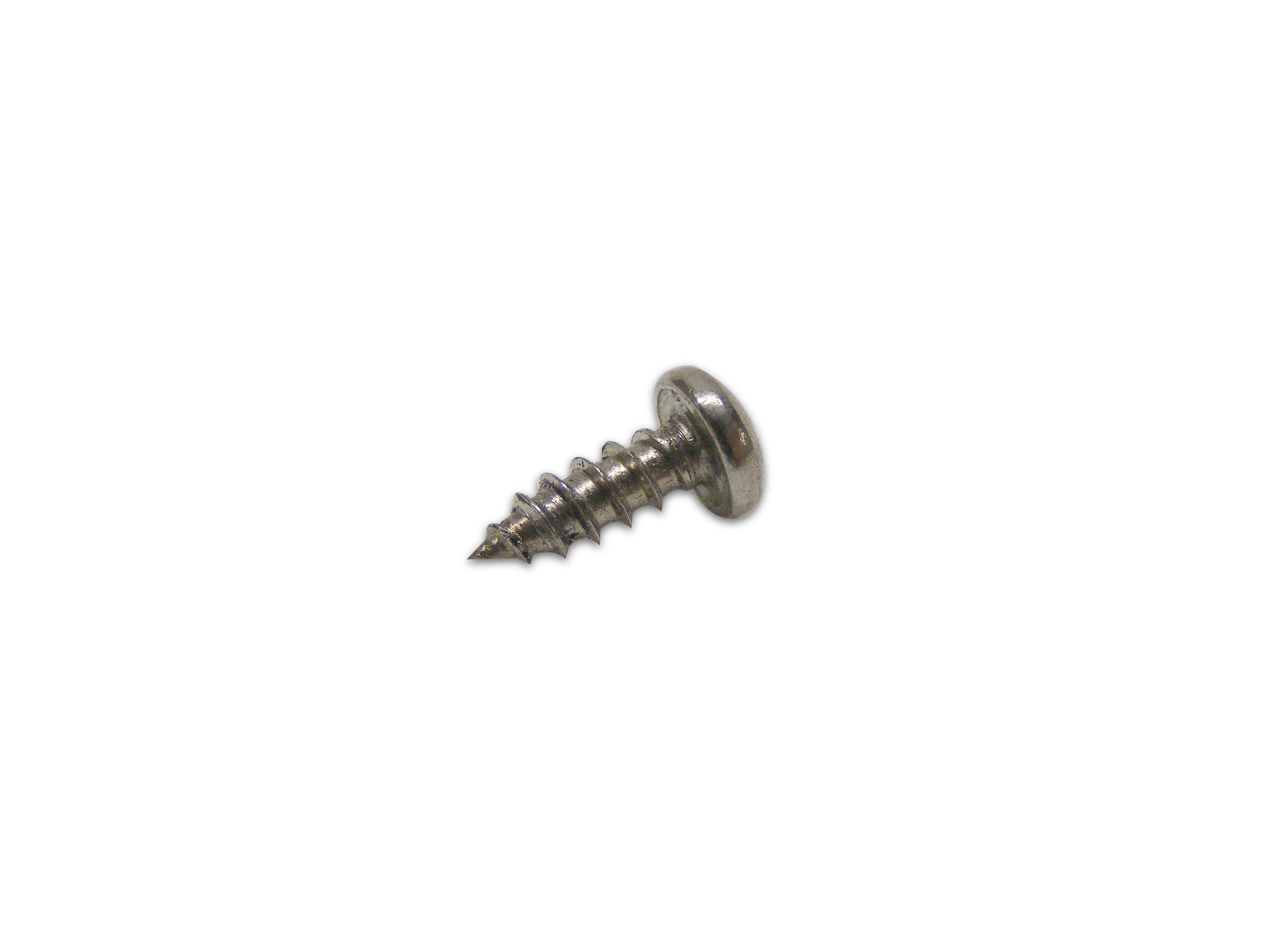 IP-010 Stainless Steel Screw